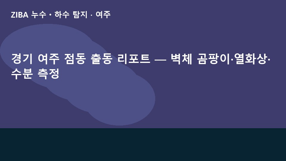 경기 여주 점동 출동 리포트 — 벽체 곰팡이·열화상·수분 측정