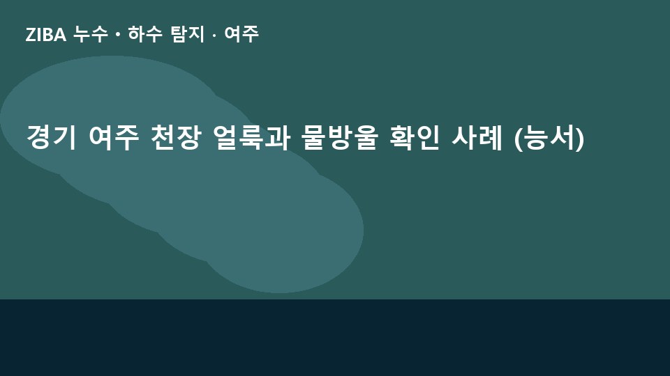 경기 여주 천장 얼룩과 물방울 확인 사례 (능서)