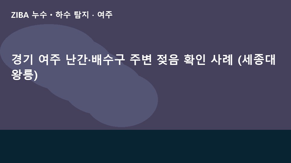 경기 여주 난간·배수구 주변 젖음 확인 사례 (세종대왕릉)